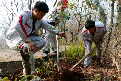植樹活動現(xiàn)場